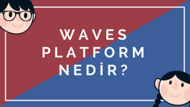 Waves Platformu Nedir, Çalışma Tekniği Nasıldır
